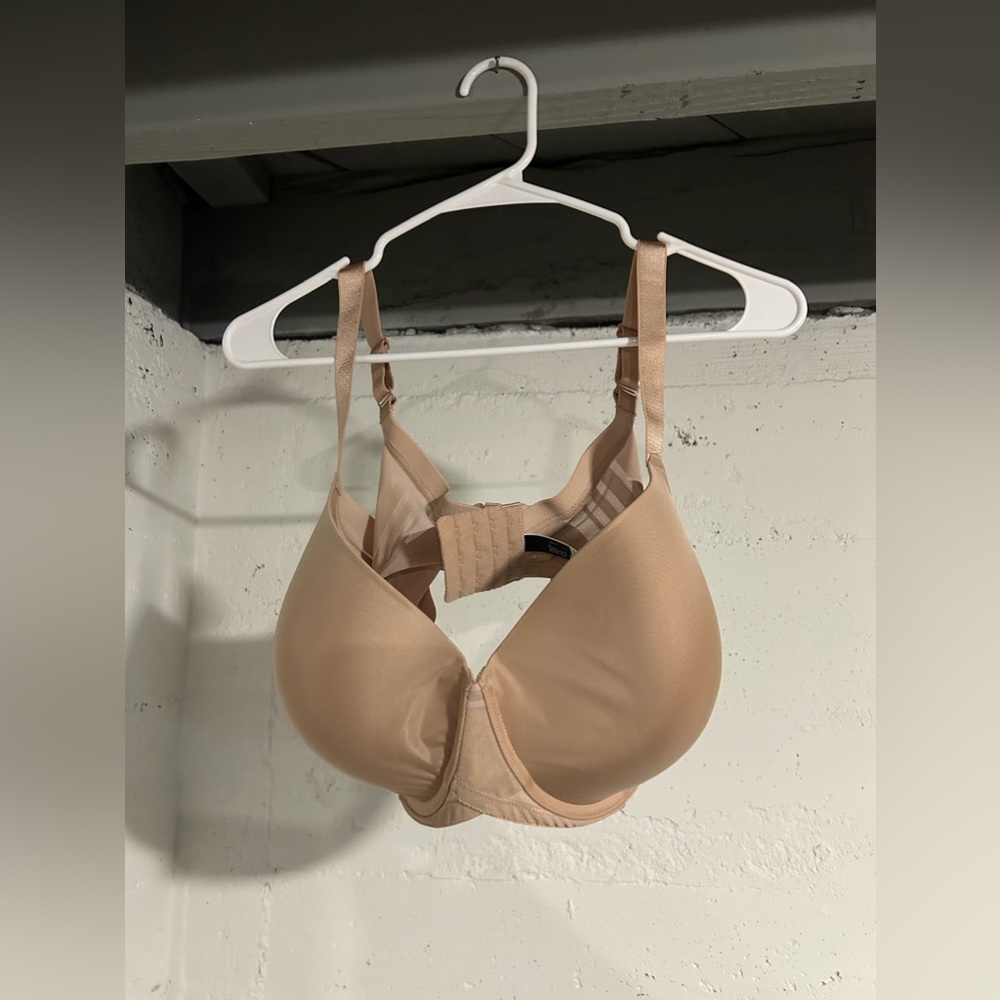 FELINA BRA